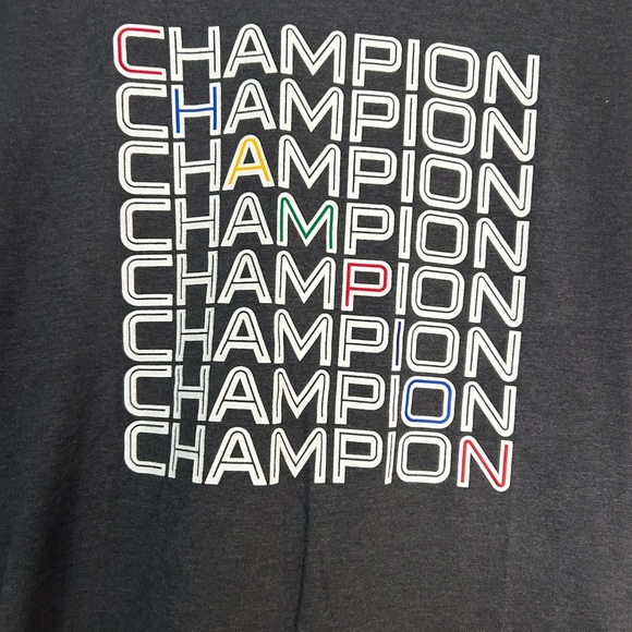 Champion Men's Gray T-Shirt, Size L - Picture 2 of 7